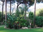 Garden views Garden views